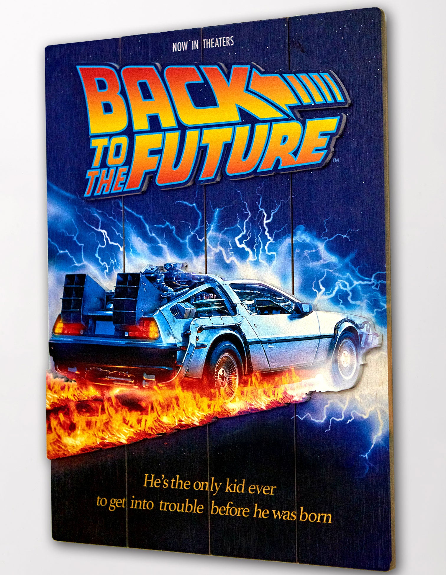 BACK TO THE FUTURE - WOODART 3D "1985"